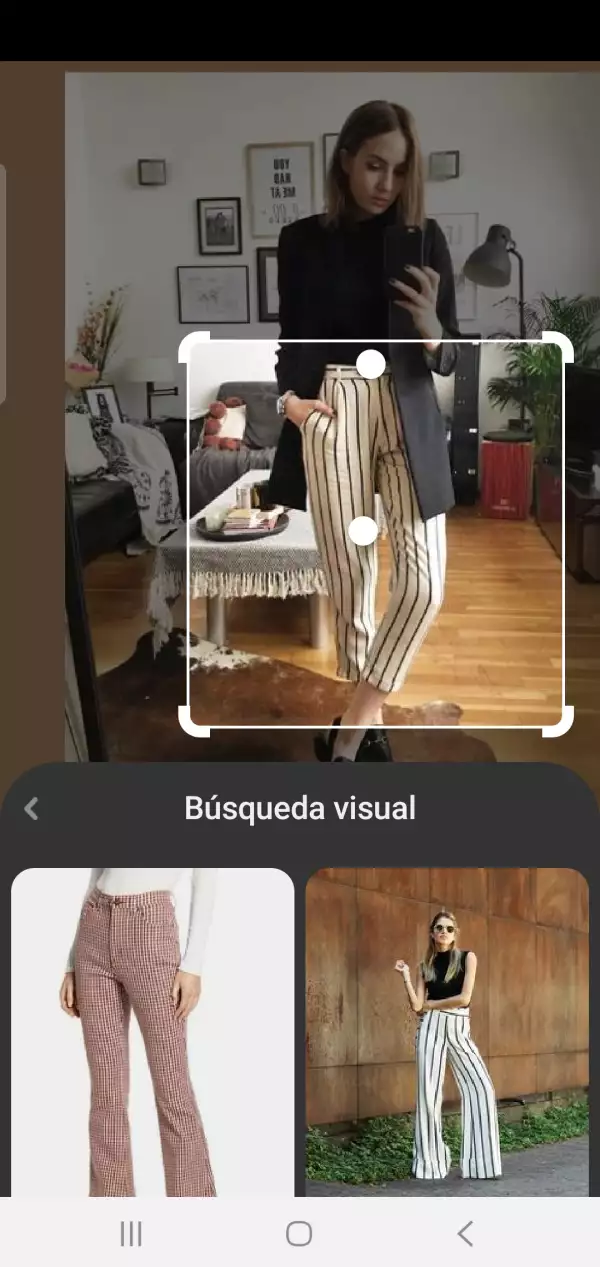 Búsqueda visual