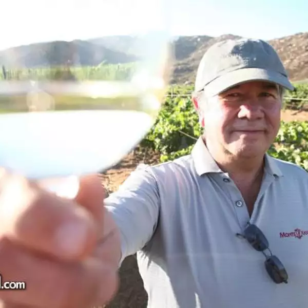 Vendimia Monte Xanic