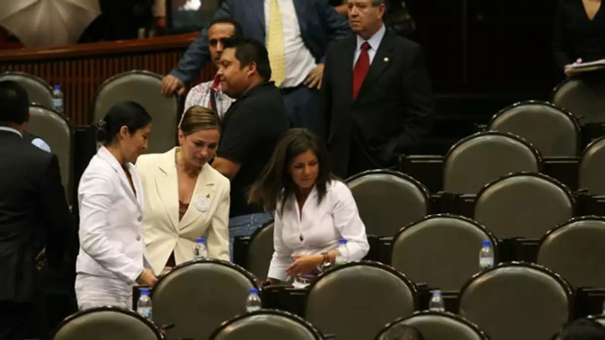 camara diputados cuota genero 02
