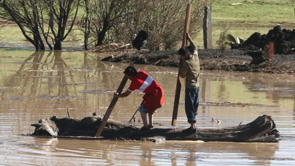 campo-cambio
