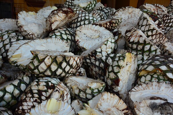 Tequila Herradura