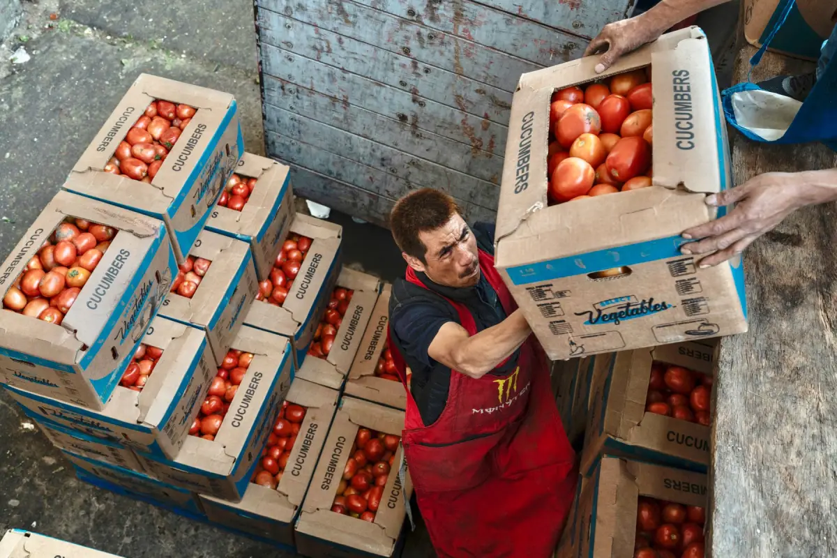 Comer lo básico es cada vez más caro en México: el jitomate se dispara 126% en un año y encarece hasta la salsa