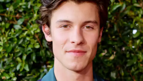 2019 American Music Awards - Red Carpet