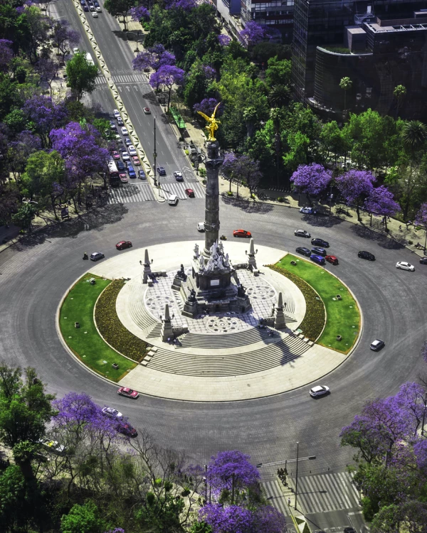 Elevated take of the Angel of Independence surrounded by jacarandas in Mexico City