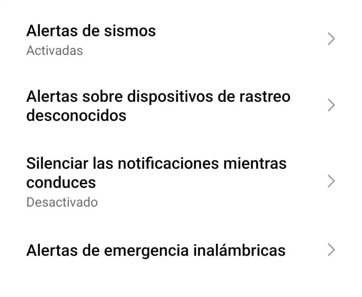 (Obligatorio)
