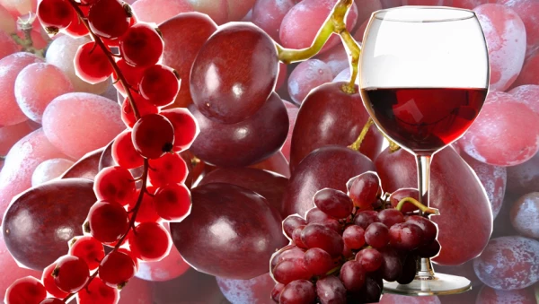 Vino tinto