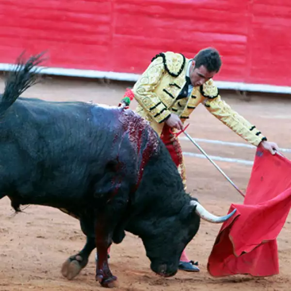 David Fandila (El Fandi)