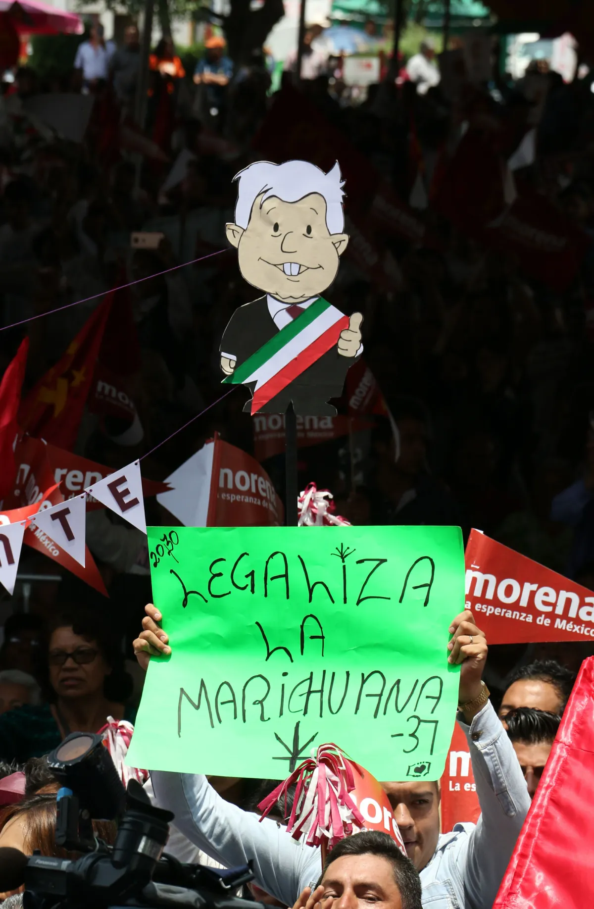 'Verde' petición