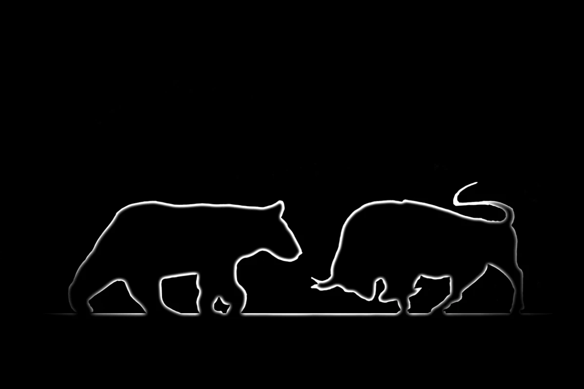 Forex: Bear and bull