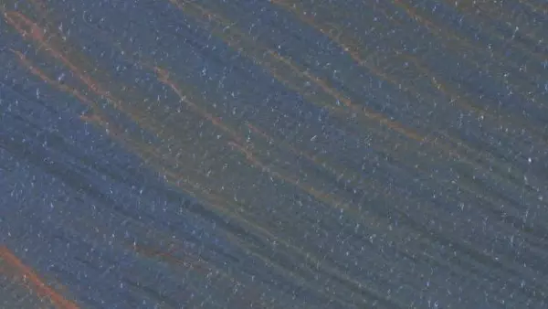 Derrame de petrÃ³leo en el Golfo de MÃ©xico