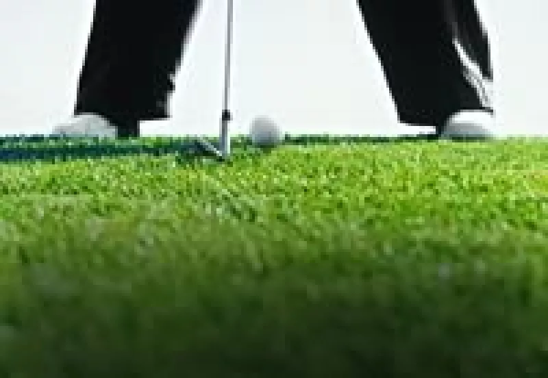 Con palos mexicanos, Aldila venderá 50% más.