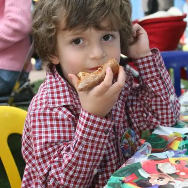Cumpleaños de Matías Romero de Terreros