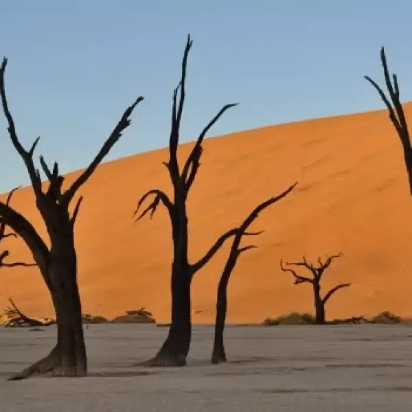 Namib-Naukluft namibia