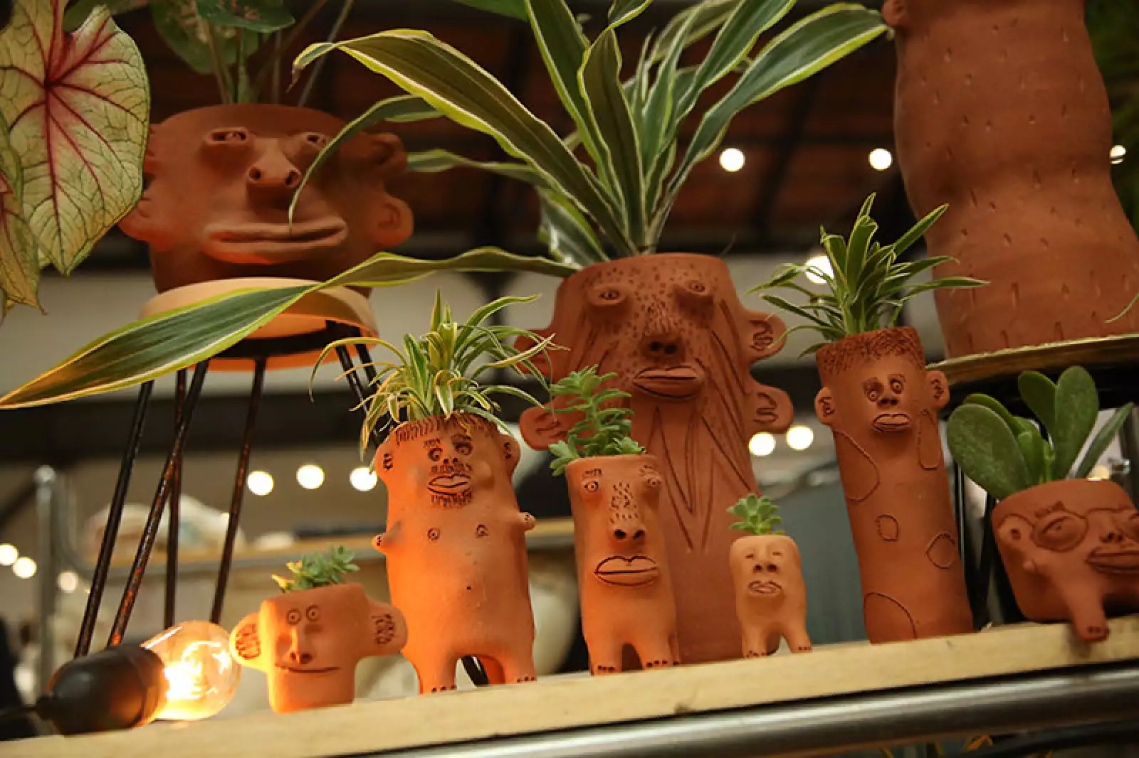 caravana-americana-cara-de-planta