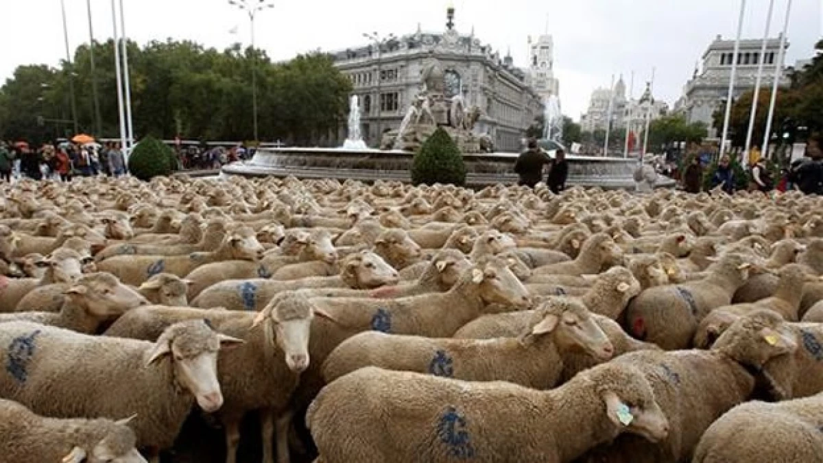 madrid