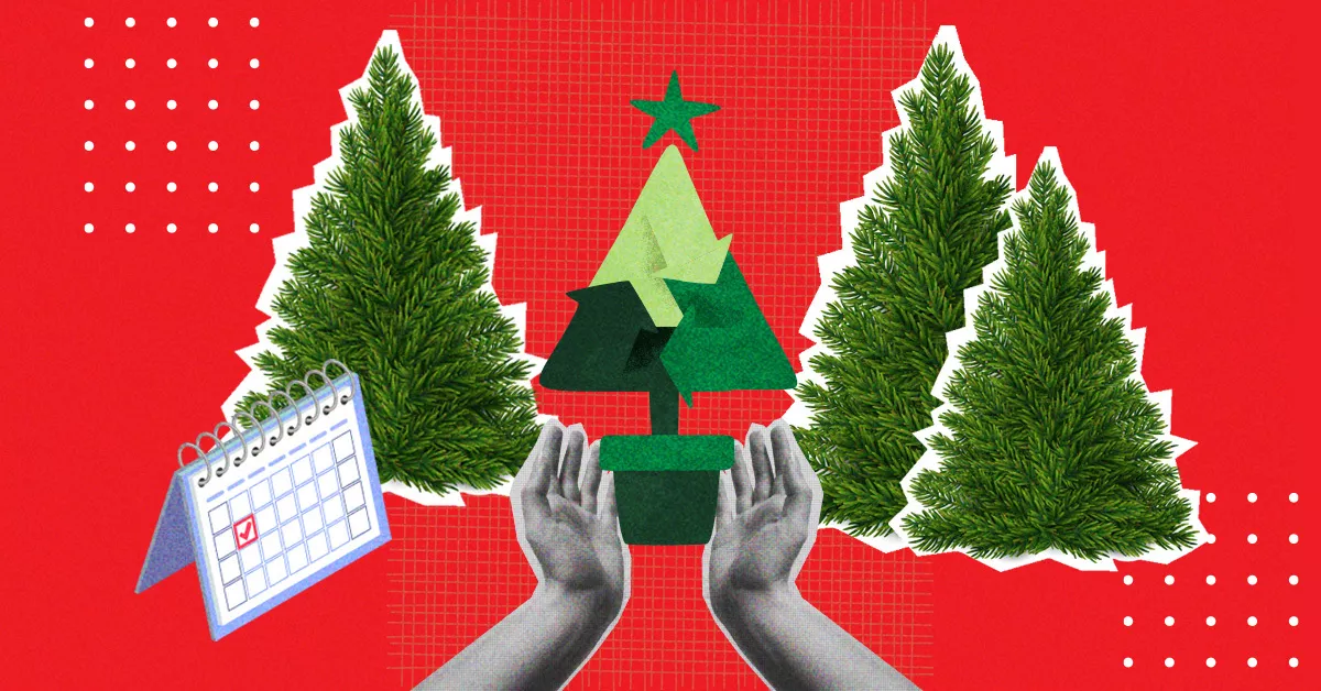 cuando-se-quita-arbol-de-navidad