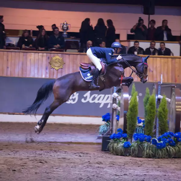 Copa Audi-Scappino