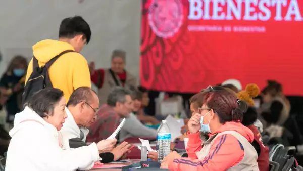 programas del bienestar
