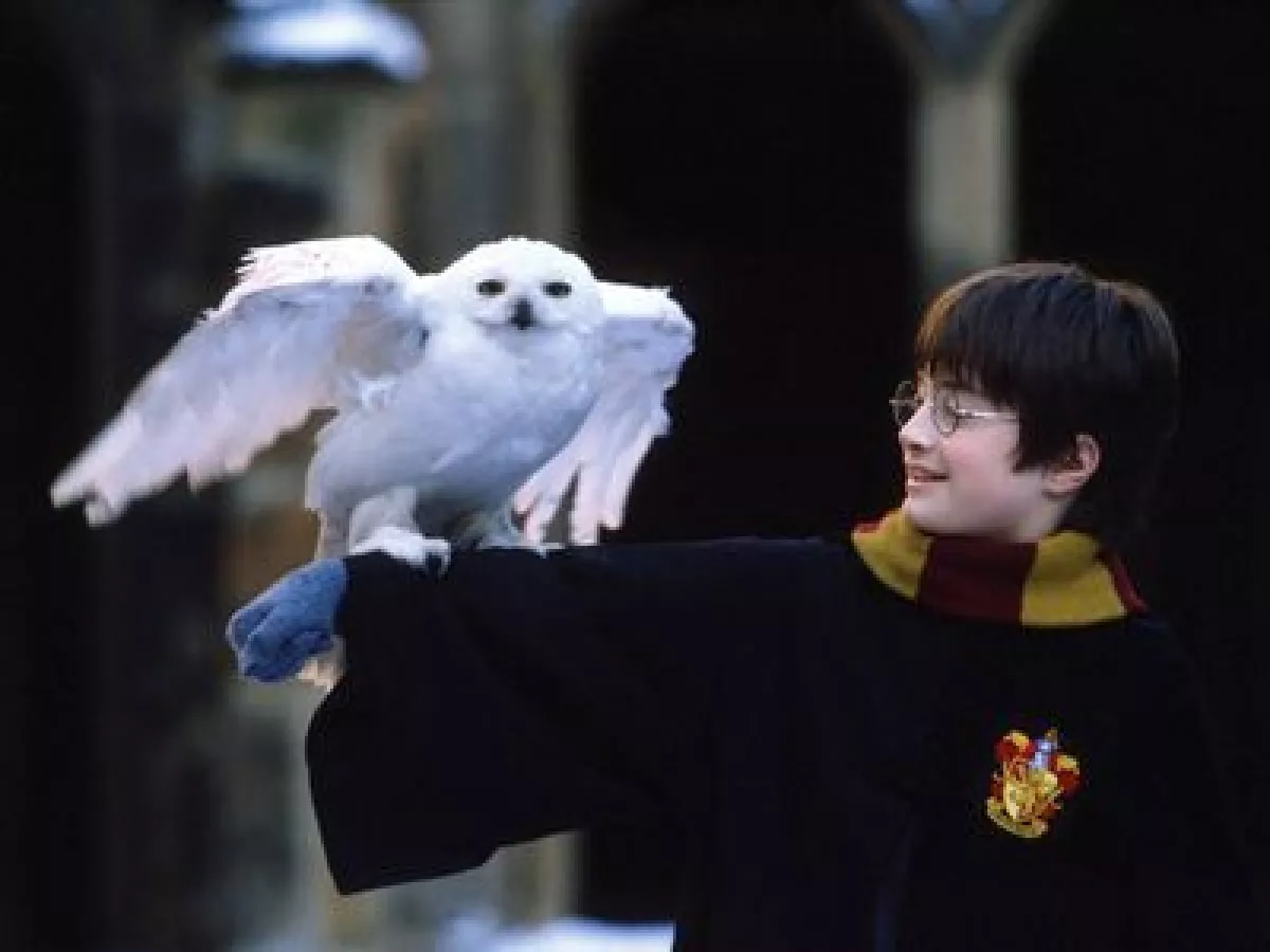 Daniel-Radcliffe-Harry-Potter-and-the-Philosophers(1).jpg