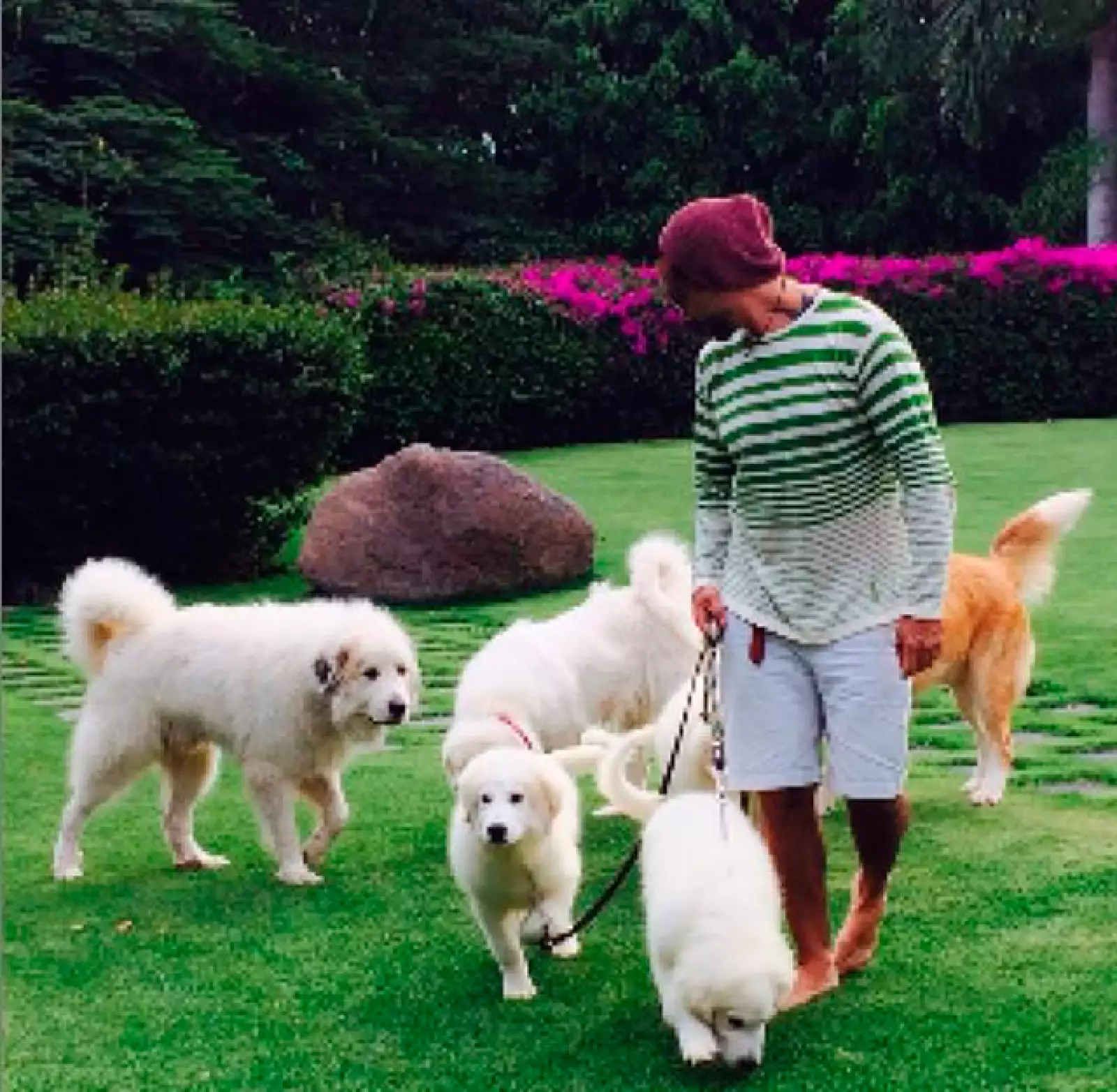 Gran parte de su tiempo libre, lo dedica a sus mascotas.