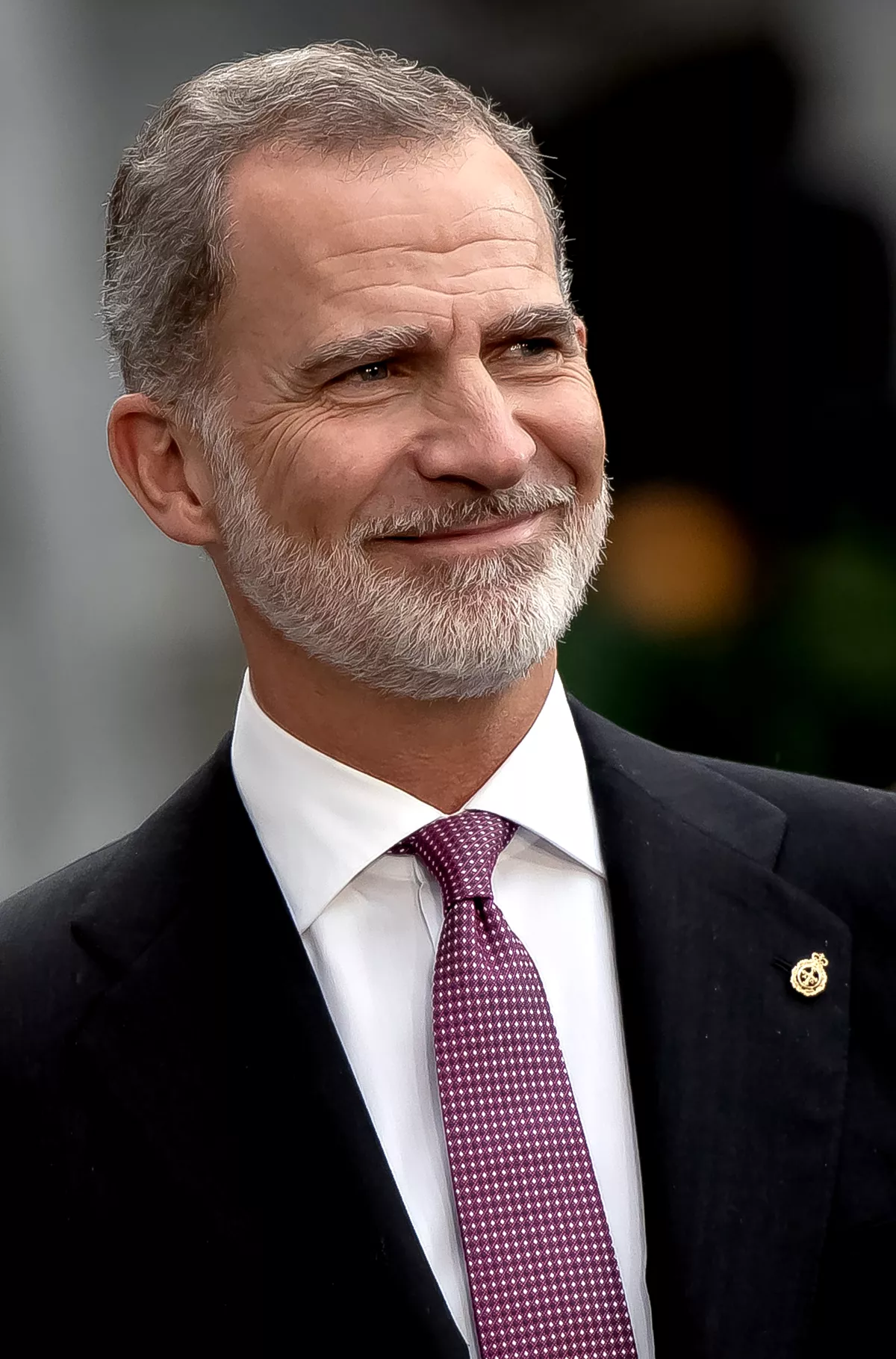 Rey Felipe VI de España