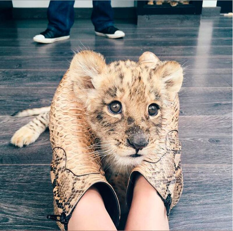 Kendall también elogió el trabajo que se hace con estas especies.