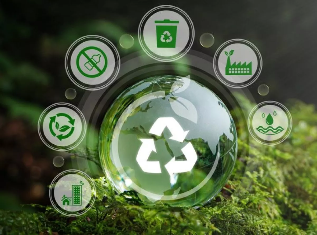 Impulsar los negocios con IA y economía circular por un futuro más verde