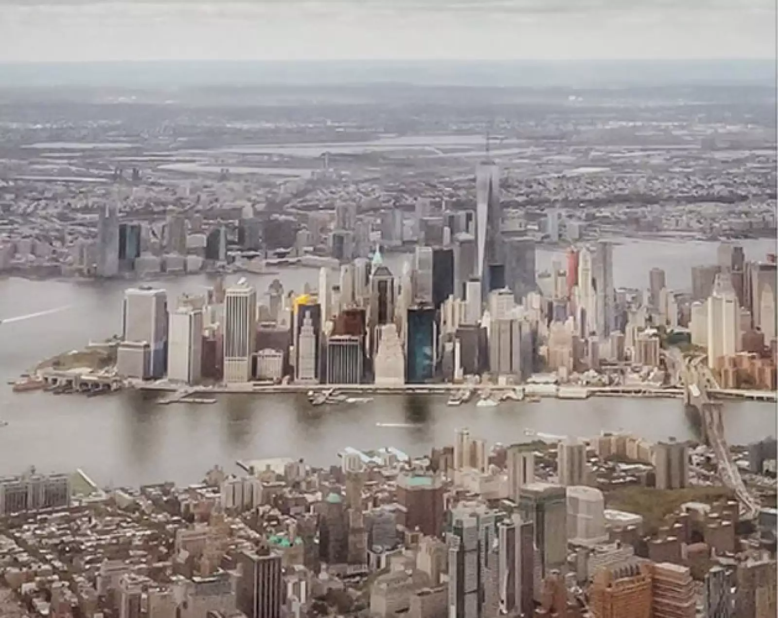 Adam Senatori (adamsenatori)