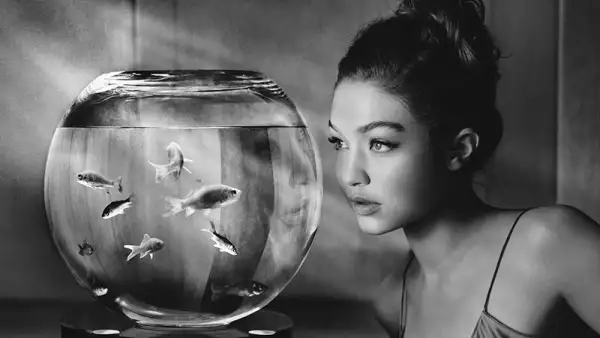 Gigi Hadid