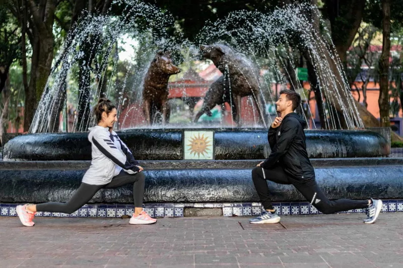 split-16k-viveros-circuito-mini