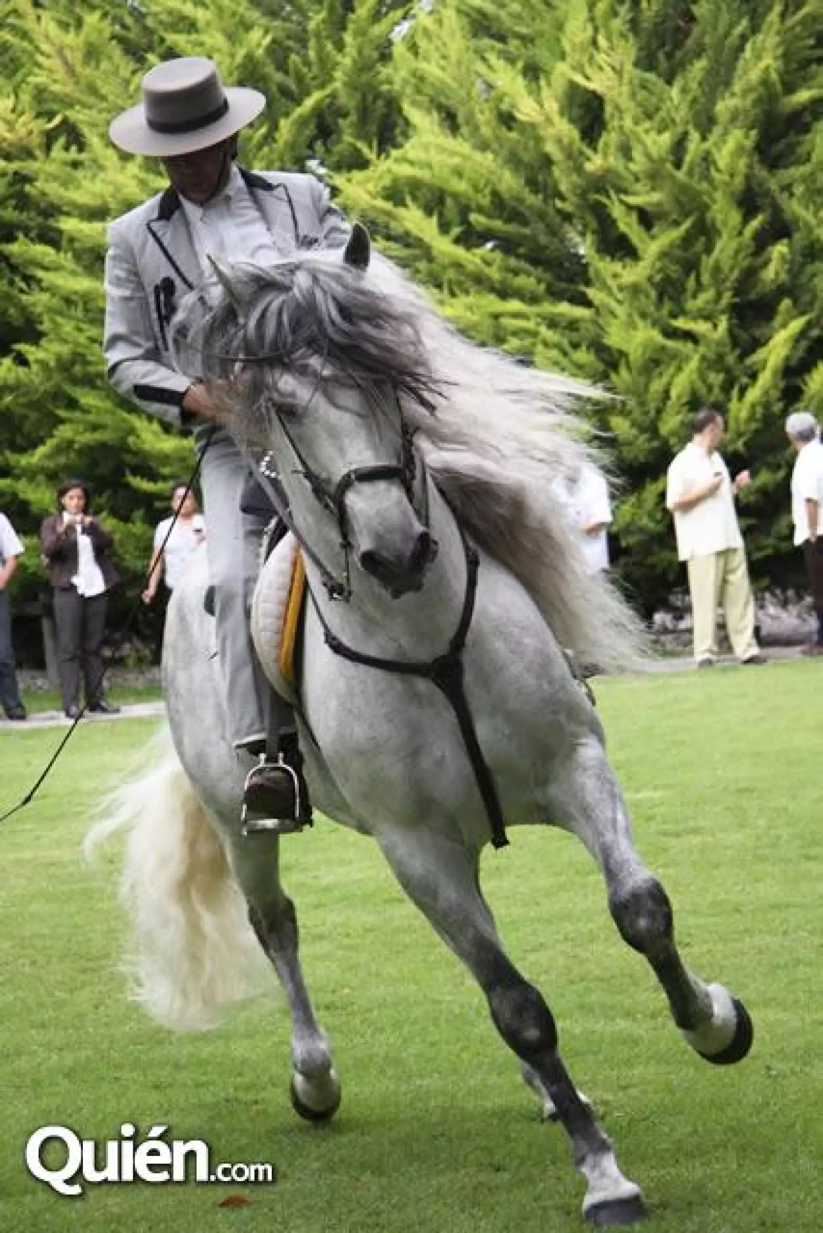 Festival Paella y Vino