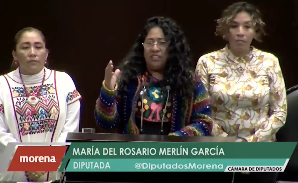 diputada de morena guerrero.png