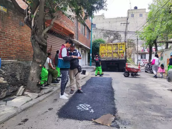 Bache-Bienestar-Colonia