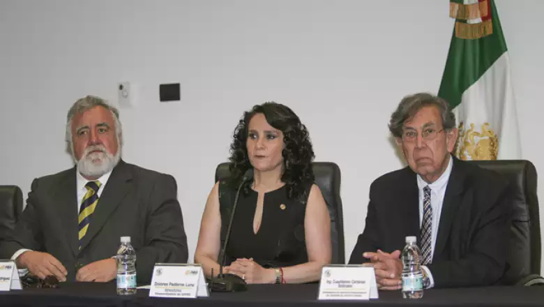 La vicecoordinadora del PRD en el Senado, Dolores Padierna, anunció que se logró un acuerdo con los partidos Revolucionario (PRI) y Acción Nacional (PAN) para avalar la reforma que permita la consulta popular o ciudadana en materia energética.
