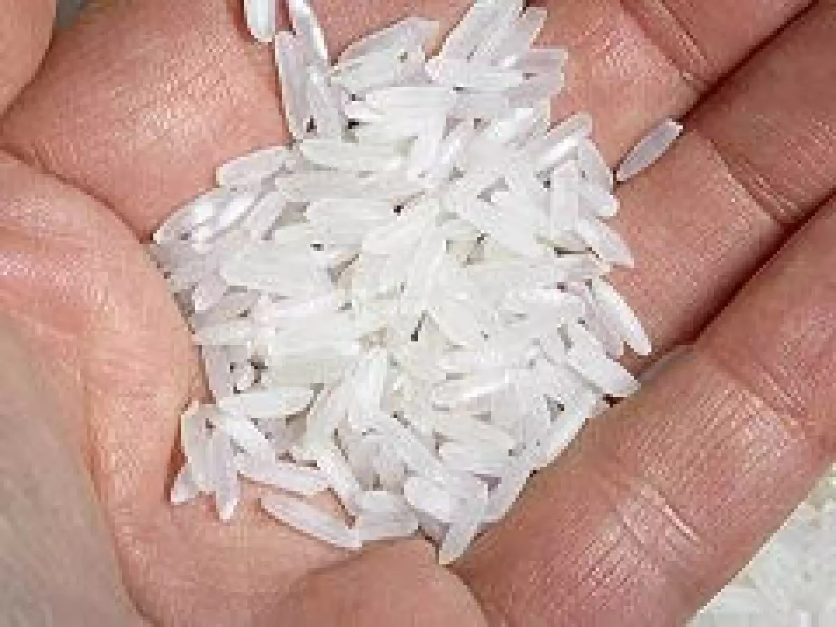 Se teme que el grano estadounidense esté contaminado con un hongo. (Foto: Archivo)
