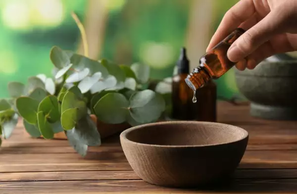 Woman pouring eucalyptus essential oil into bowl on wooden table.