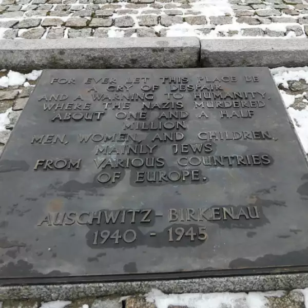 auschwitz 70 años 5