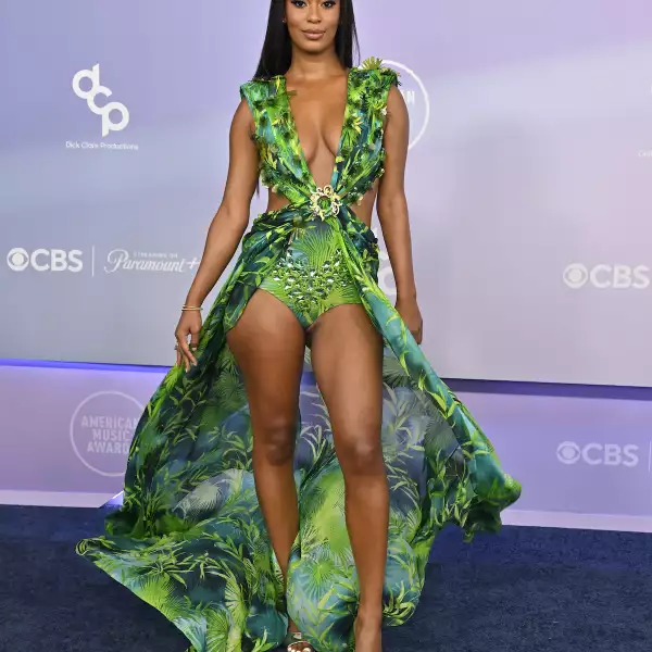 52nd American Music Awards - Arrivals