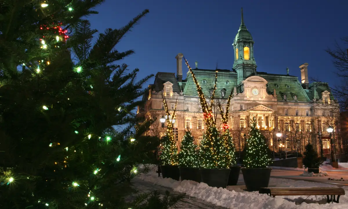Una fotografía de varios pinos navideños adornados con luces y de fondo un edificio alumbrado en un paisaje nevado.