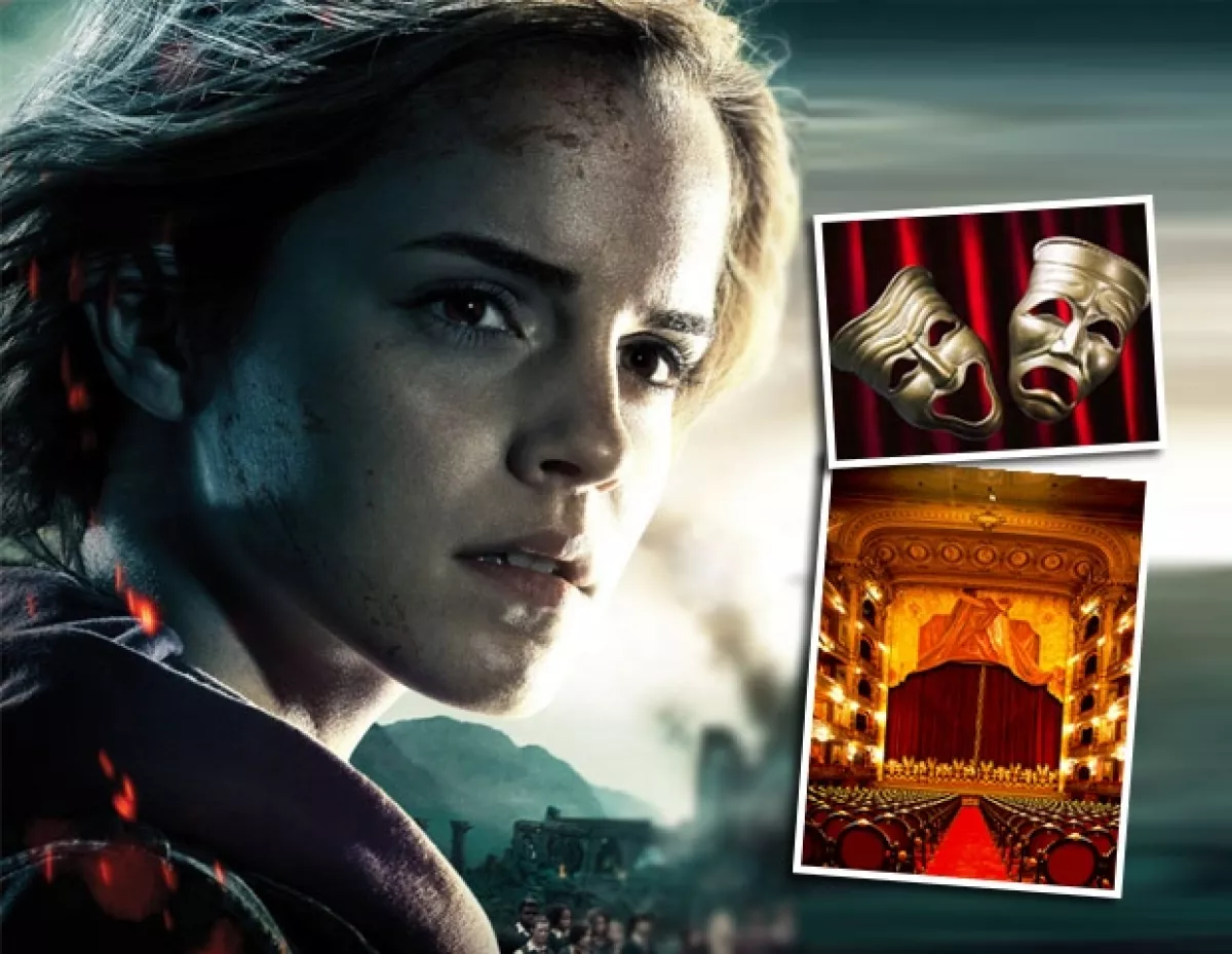 Emma Watson seguiría siendo actriz, tal vez de teatro.