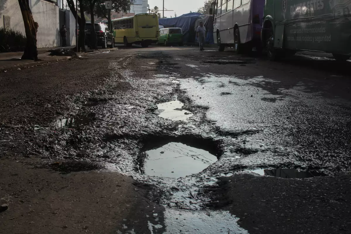 bache