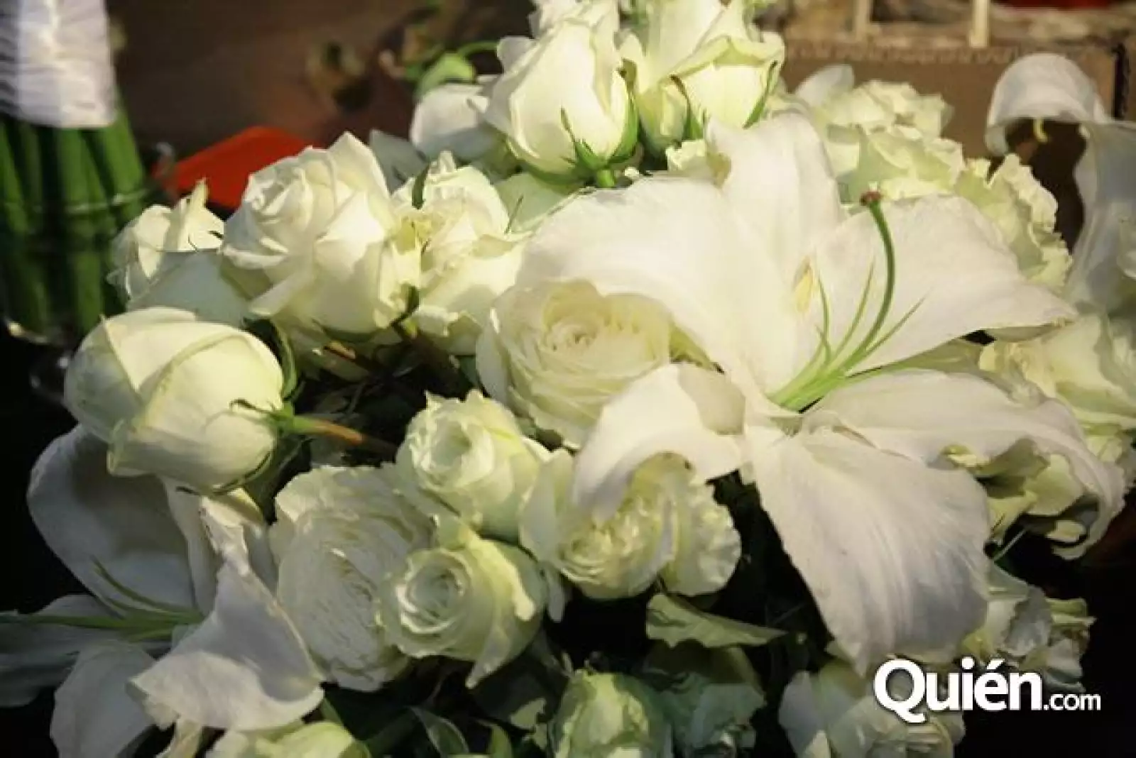 Fiesta de Leonora Tovar López Portillo y Gerardo Díaz Ordaz