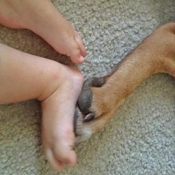 Las dos pequeñas de Gisele: su hija y su mascota.