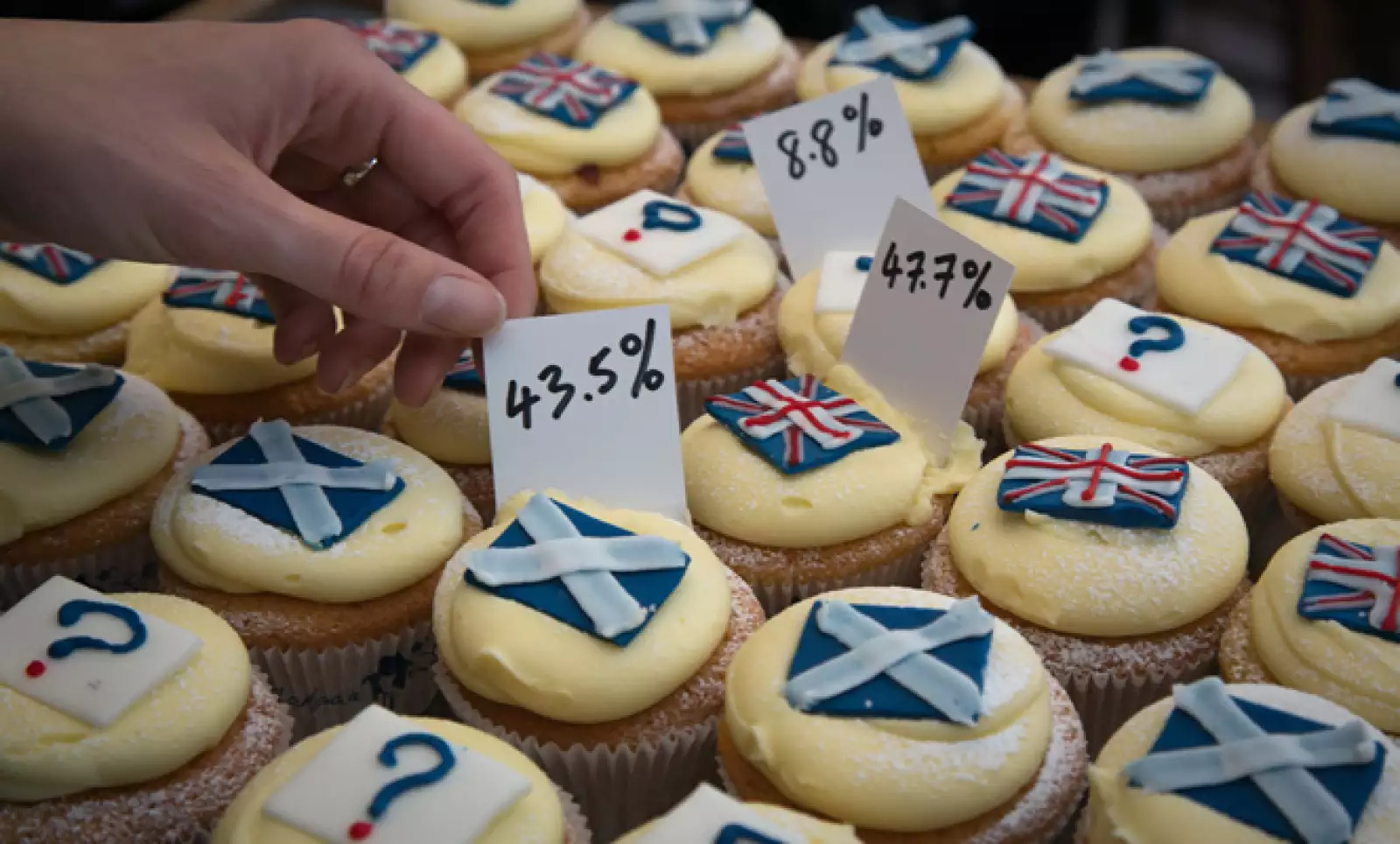 El debate ha llegado hasta los postres pues se han preparado cupcakes para reprentar los resultados de los reñidos sondeos sobre el referéndum.