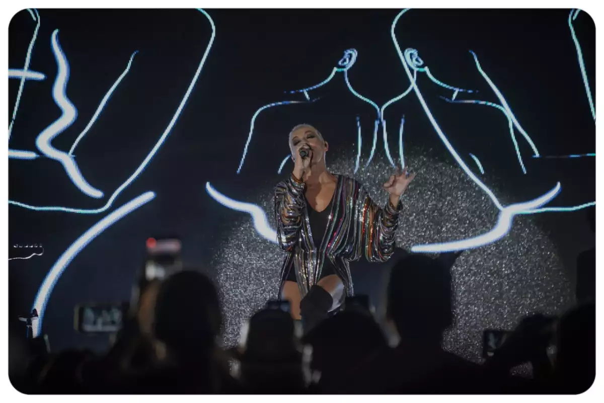 Vendimia 2019  (2).jpeg