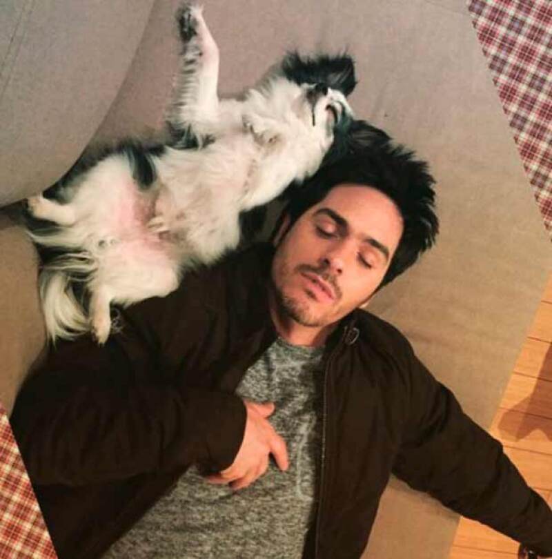 Mauricio es un apasionado de los perros, como la familia Derbez.