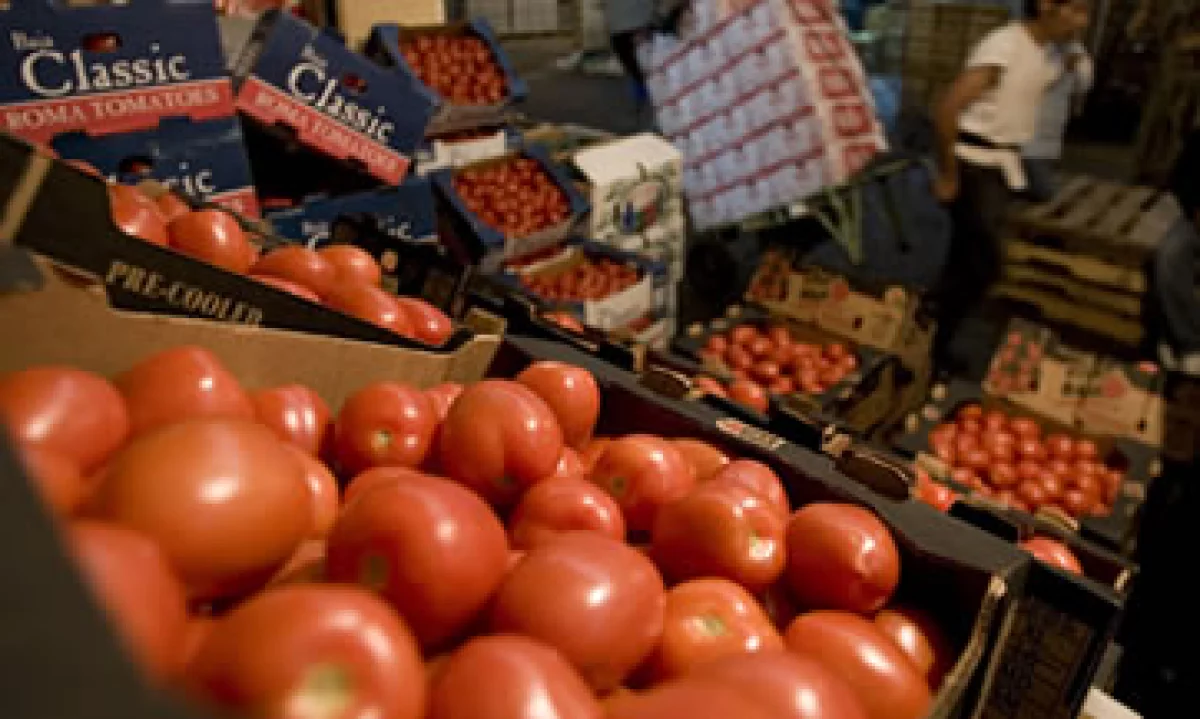 El tomate es el principal producto agropecuario que México exporta a Estados Unidos. (Foto: AP)