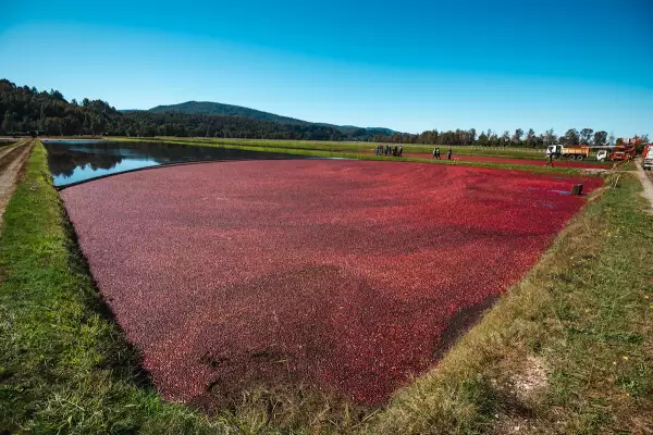 OCEAN SPRAY-13.jpg