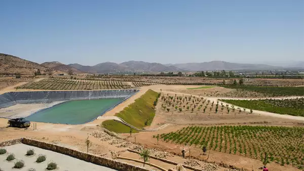 Valle de Guadalupe