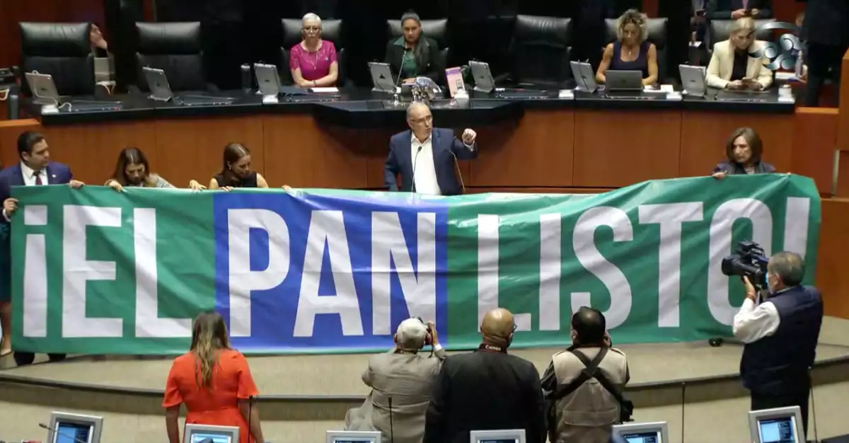 pan-senado